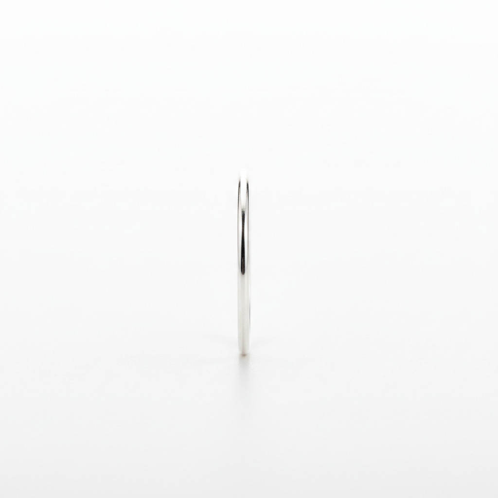 Vue profil bague argent