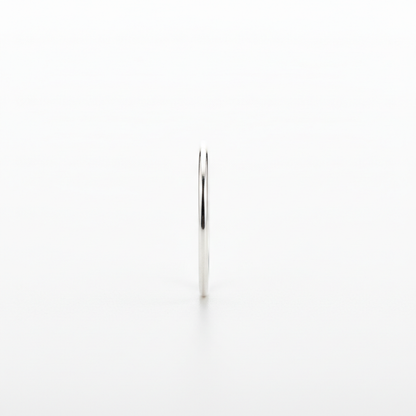 Vue profil bague argent